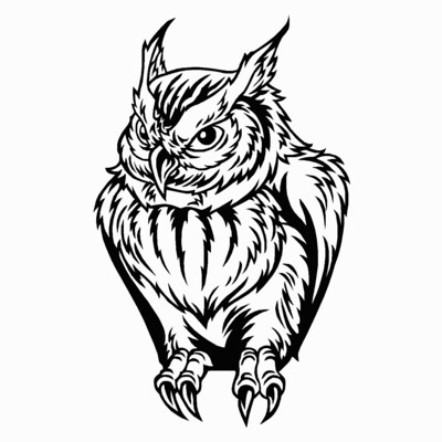 Owl